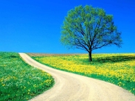Beautiful Spring Day