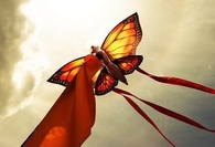 Butterfly Kite