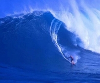 Surf