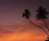 Beautiful Sunset