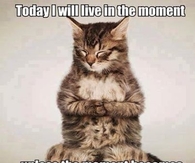 live in the moment