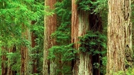 Nature's Beauty!!