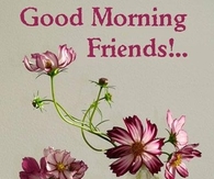 Good Morning Friends
