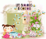 Life Blooms in Color