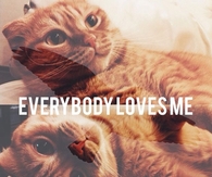 Everybody Loves Me