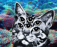Trippy Cat