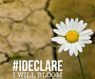 I declare I will bloom where Im planted