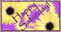 Happy Saturday