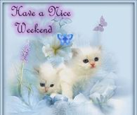 Have a Nice Weekend