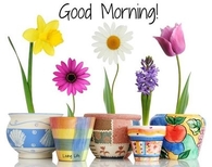 Good Morning