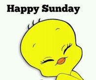 Happy Sunday its still the weekend