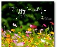 Happy Sunday