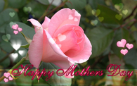 Happy Mothers Day