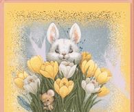 Tulips & Bunny
