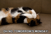 tomorrows monday
