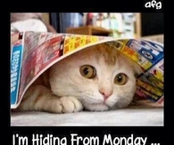 tomorrow is monday