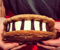 Huge ice cream sandwich