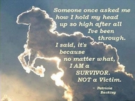 im a survivor