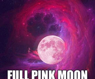 pink full moon