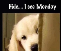 Hide I See Monday