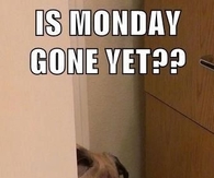 Is Monday gone yet