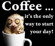 coffee