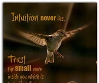 intuition never lies