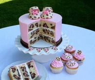 Cheetah print cake and cupcakes