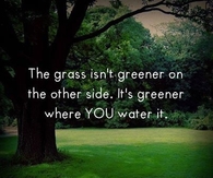 the grass isnt greener on the other side
