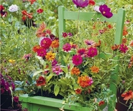 Small chair garden