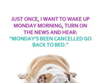 Mondays Cancelled