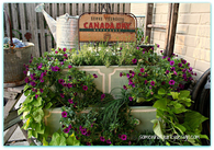 Dresser garden