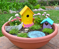 Fairy garden