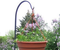 Upside down tomato planter