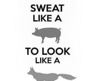 Sweat like a pig to look like a fox