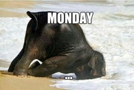 Monday