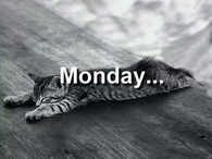 Monday