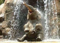 SPLASH!!