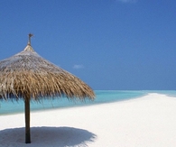 Tiki Hut