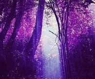 Purple World