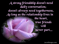 A strong friendship