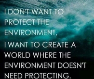 i dont want a perfect environment