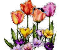 Spring Flowers Greeting