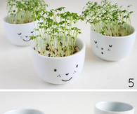 Cute bonsai