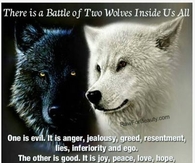 Battle of two wolves