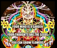 Your mind is a garden