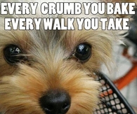 I'll be watching you....