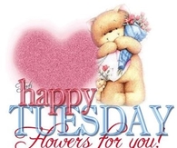 Happy Tuesday