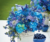 Beautiful Blue Flowers