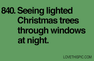 840-christmas-trees